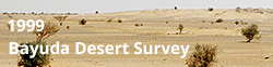 Fieldwork - Bayuda Desert Survey