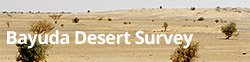 Bayuda Desert Survey