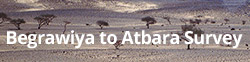 Begrawiya to Atbara Survey