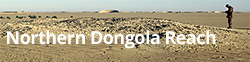 Northern Dongola Reach