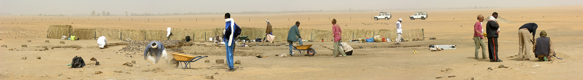 Fieldwork